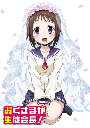 cover-okusama-ga-seitokaichou-s1