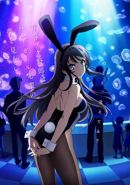 cover-seishun-buta-yarou-wa-bunny-girl-senpai-no-yume-wo-minai